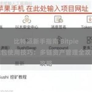 比特派新手指南 Bitpie钱包使用技巧：多链资产管理全攻略