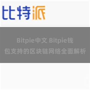 Bitpie中文 Bitpie钱包支持的区块链网络全面解析