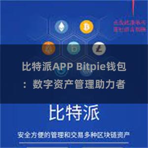 比特派APP Bitpie钱包：数字资产管理助力者