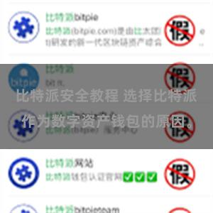 比特派安全教程 选择比特派作为数字资产钱包的原因。
