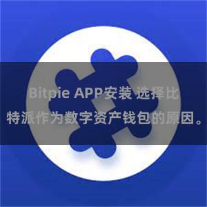 Bitpie APP安装 选择比特派作为数字资产钱包的原因。