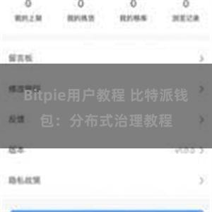 Bitpie用户教程 比特派钱包：分布式治理教程