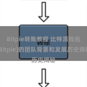 Bitpie转账教程 比特派钱包(Bitpie)的团队背景和发展历史揭秘