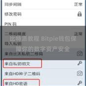 比特派教程 Bitpie钱包保障你的数字资产安全
