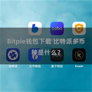 Bitpie钱包下载 比特派多币种是什么？