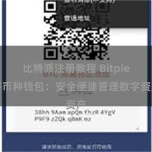 比特派注册教程 Bitpie多币种钱包：安全便捷管理数字资产