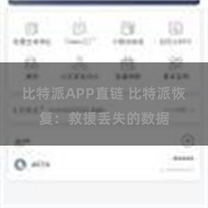 比特派APP直链 比特派恢复：救援丢失的数据
