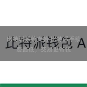 比特派系统支持 比特派手续费最低，交易更省钱