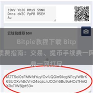 Bitpie教程下载 Bitpie手续费指南：交易、提币手续费一网打尽