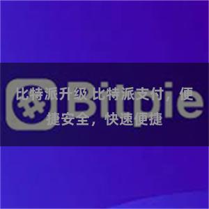 比特派升级 比特派支付，便捷安全，快速便捷